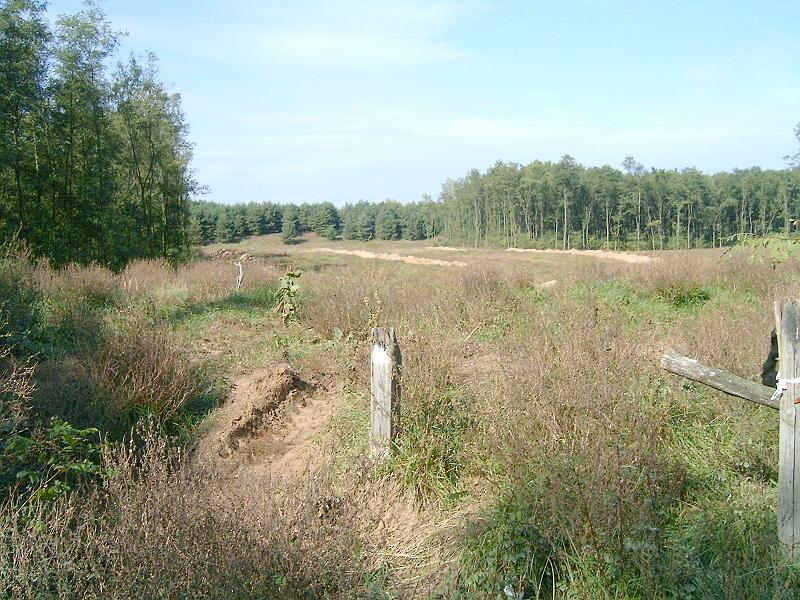2010.10.10. 056.jpg